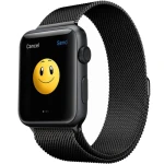 ساعت مچی هوشمند Apple واچ مدل 42mm Stainless Steel Case with Milanese Loop Black