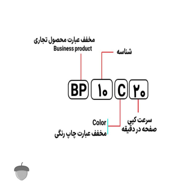 BP-10C20.jpg
